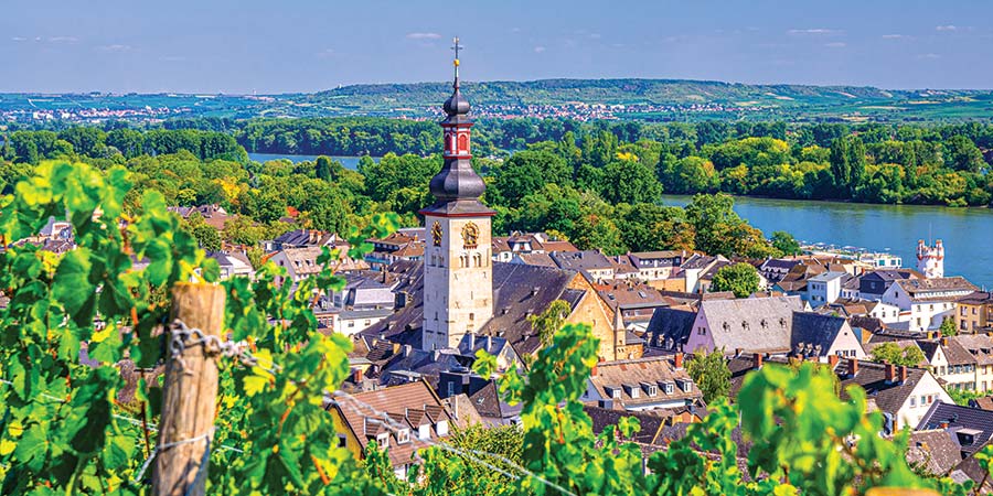 Exploring Rüdesheim