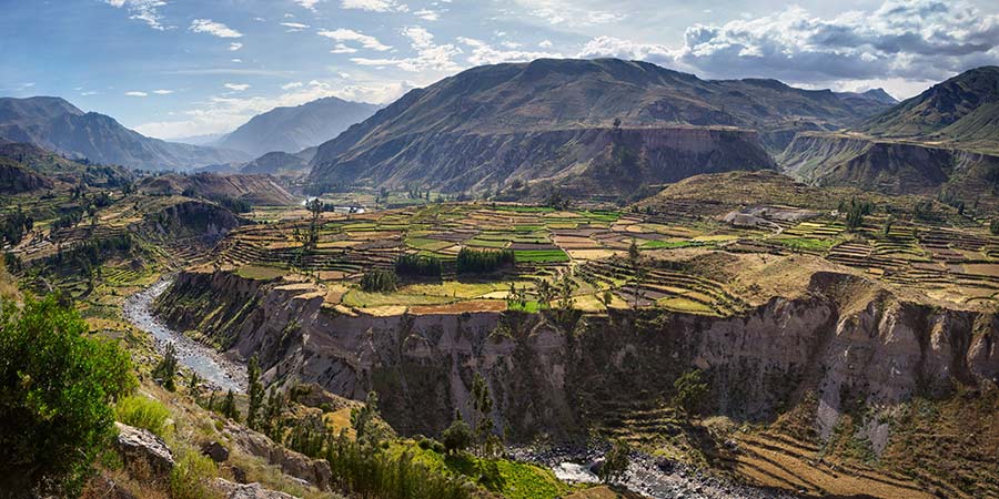 Viewing condors in the spectacular Colca Canyon