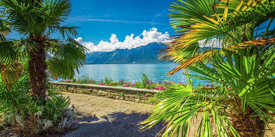 Swiss Riviera