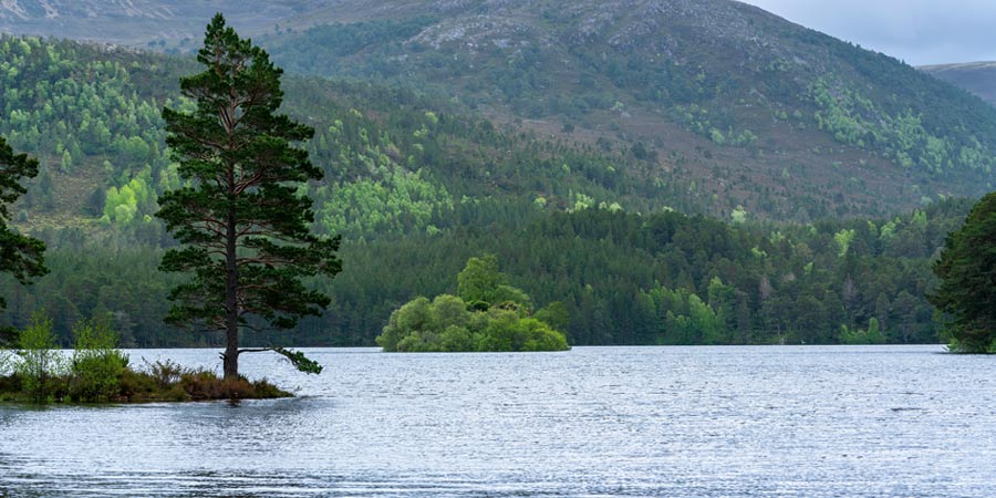 Sampling country pursuits at Rothiemurchus Estate