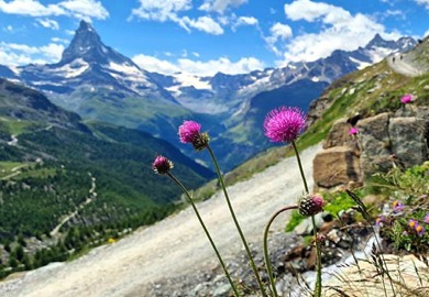 Matterhorn Trail Matterhorn Trail