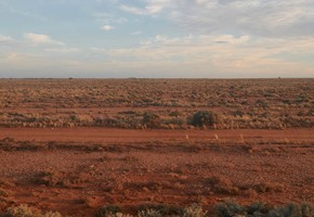 Indian Pacific 